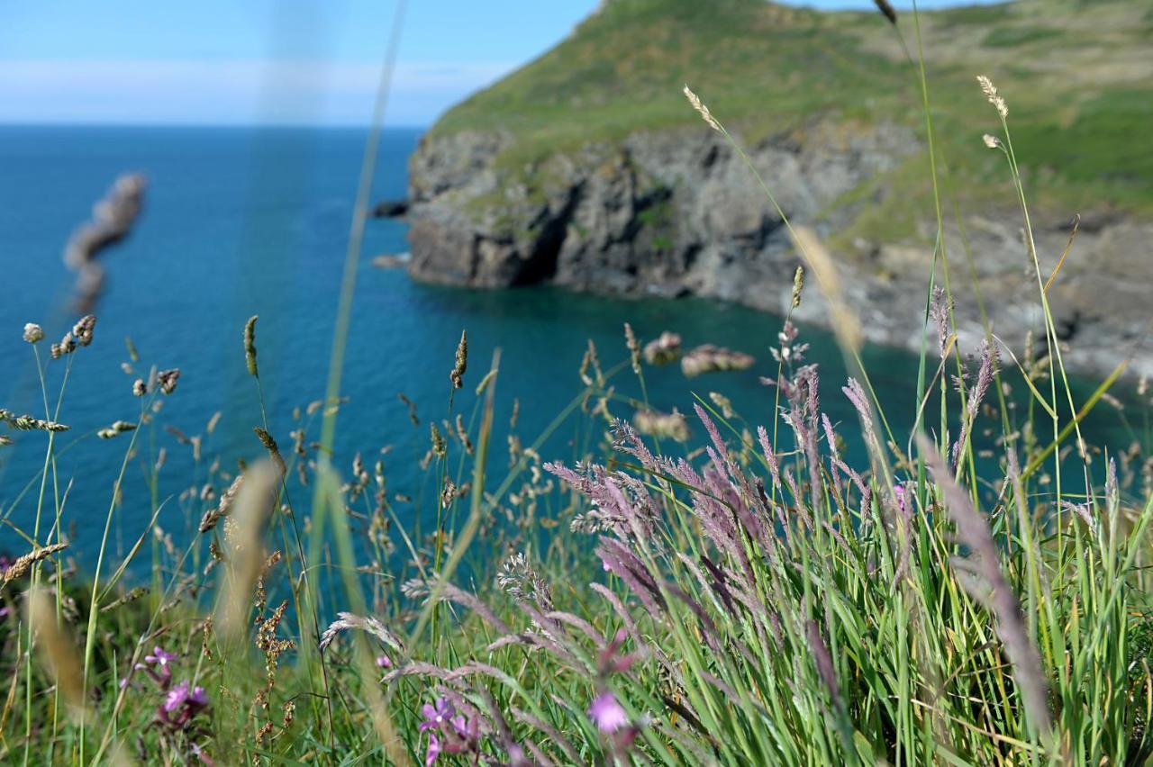 Tranquil Cornish Retreat Close To Port Isaac Beaches And Moor Bodmin Exterior foto